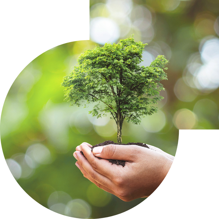 关怀人类、文化、环境与社会